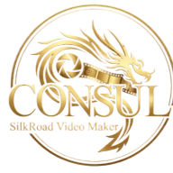 ConSul